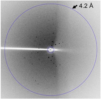 In this X-ray diffraction image, the pattern of dots can be used to extract information about the size, shape and structure of the MMD2 RNA.