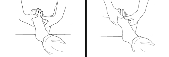Illustration of an exercise for the toes