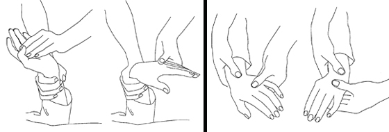 Illustration of an exercise for the wrist