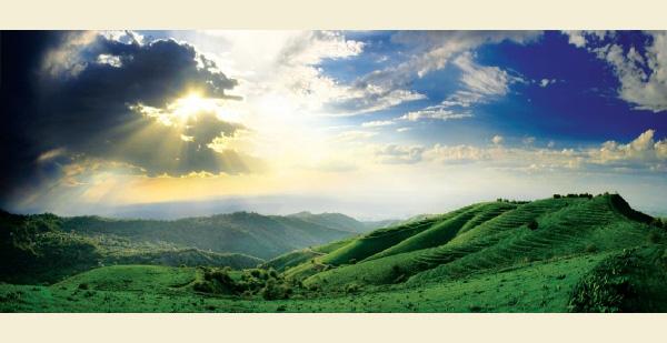 A pretty picture of a nice green hillside in a sunset