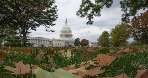 An image of capitol hill