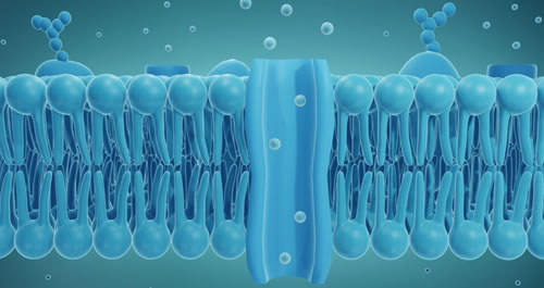 Image of DNA strands.