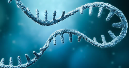 Image of DNA strands.