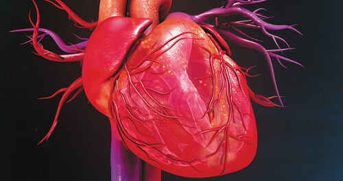 New Cardiac Insights Show How Neuromuscular Diseases Affect the Heart