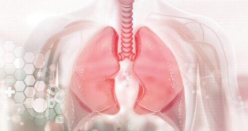 Respiratory Care and Ventilation Equipment