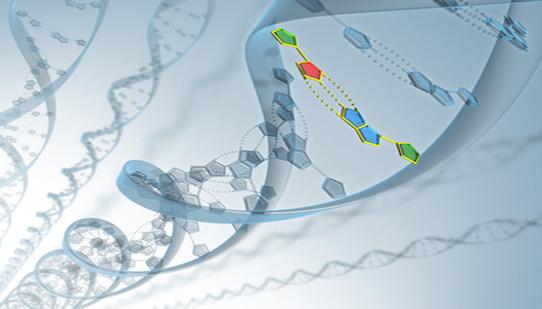 A digital representation of a DNA strand