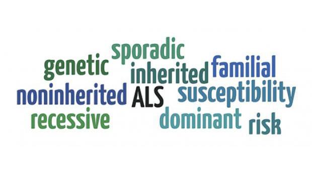 A word cloud with a number of labels commonly used to describe ALS, including genetic, sporadic, inheritied, familial, noninherited, and recessive.