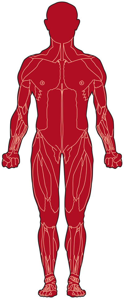 Endocrine Myopathies - Diseases