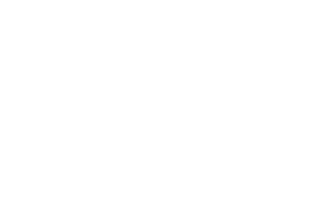 MDA's Wings Over Wall Street.