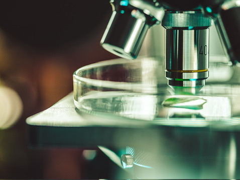 Image of a microscope.