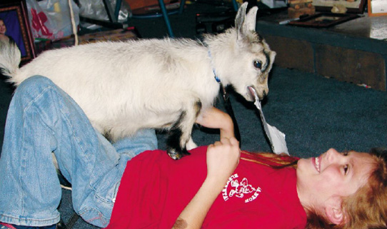 Paige Viscuso of Carlton, Pa., has fun while training her pgymy goat, Rockie.