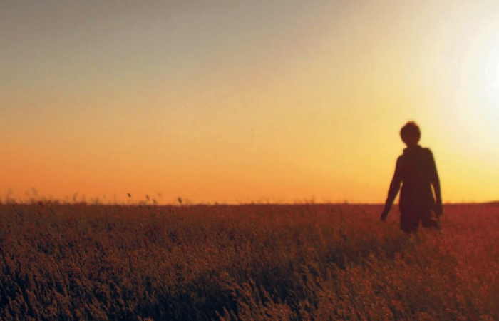 A person wandering through a field of grass