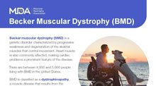 Fact sheet for Becker muscular dystrophy.