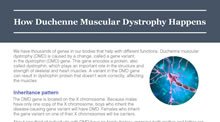 How DMD Happens pdf cover thumbnail
