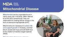 Mitochondrial Myopathy Fact Sheet